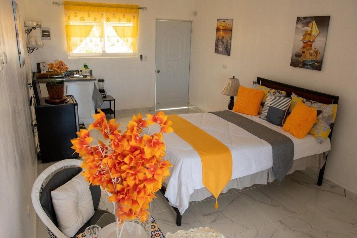 פוארטו פלטה Royal Terrace Apto. II מראה חיצוני תמונה