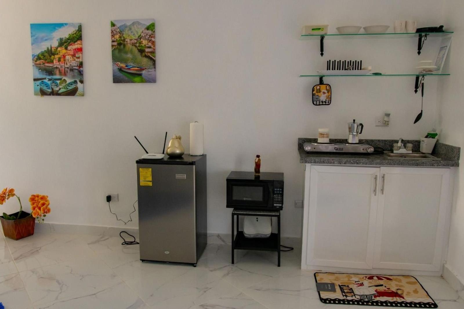 פוארטו פלטה Royal Terrace Apto. II מראה חיצוני תמונה